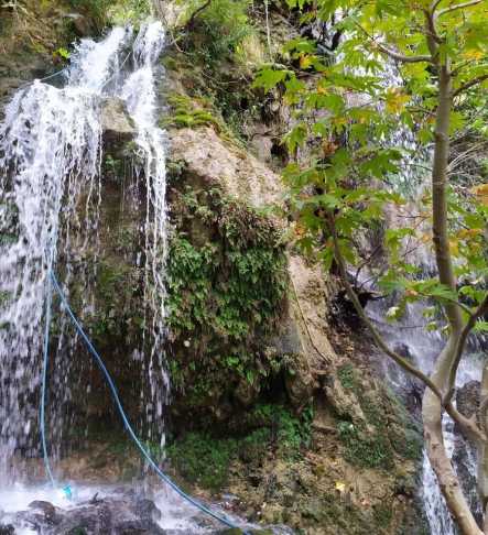 Savruk Ara Goruntu 1