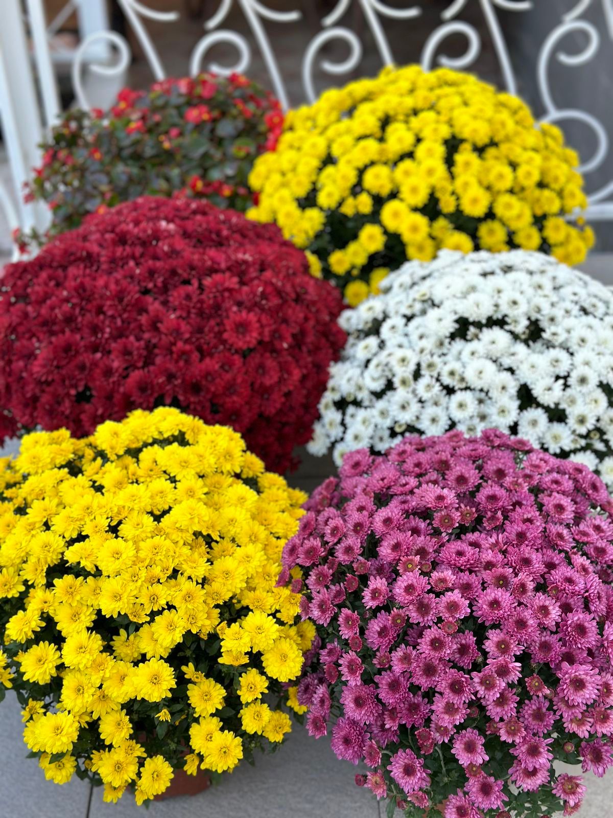 Whatsapp Görsel 2025 11 09 Saat 11.01.32 Ead2E4D8