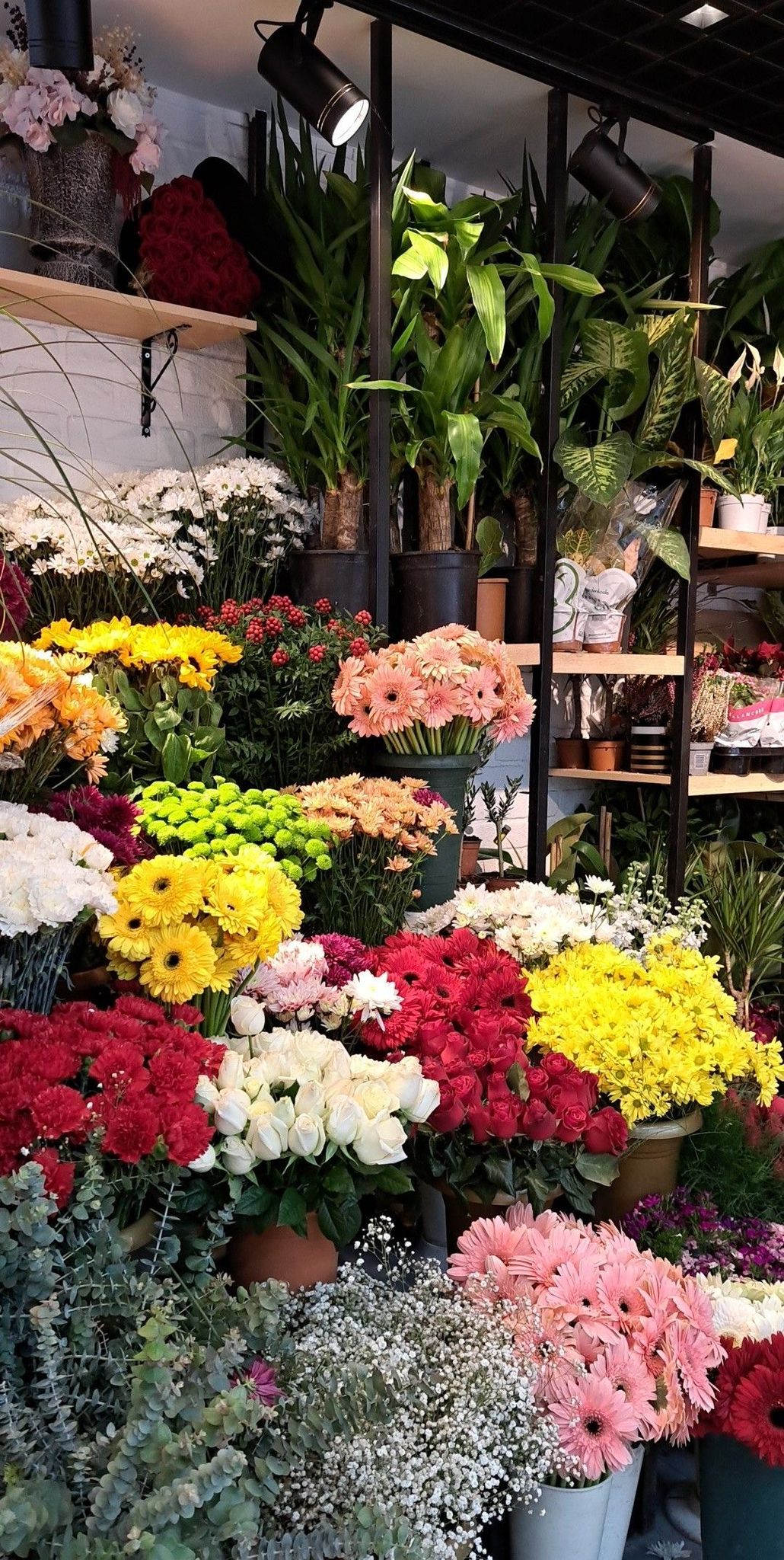 Whatsapp Görsel 2025 11 09 Saat 11.01.36 72Cd0D82