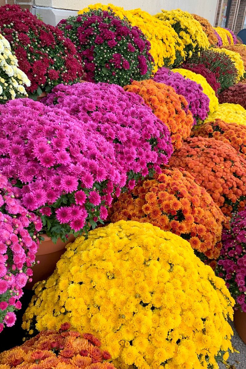 Whatsapp Görsel 2025 11 09 Saat 11.01.51 900F8Ceb