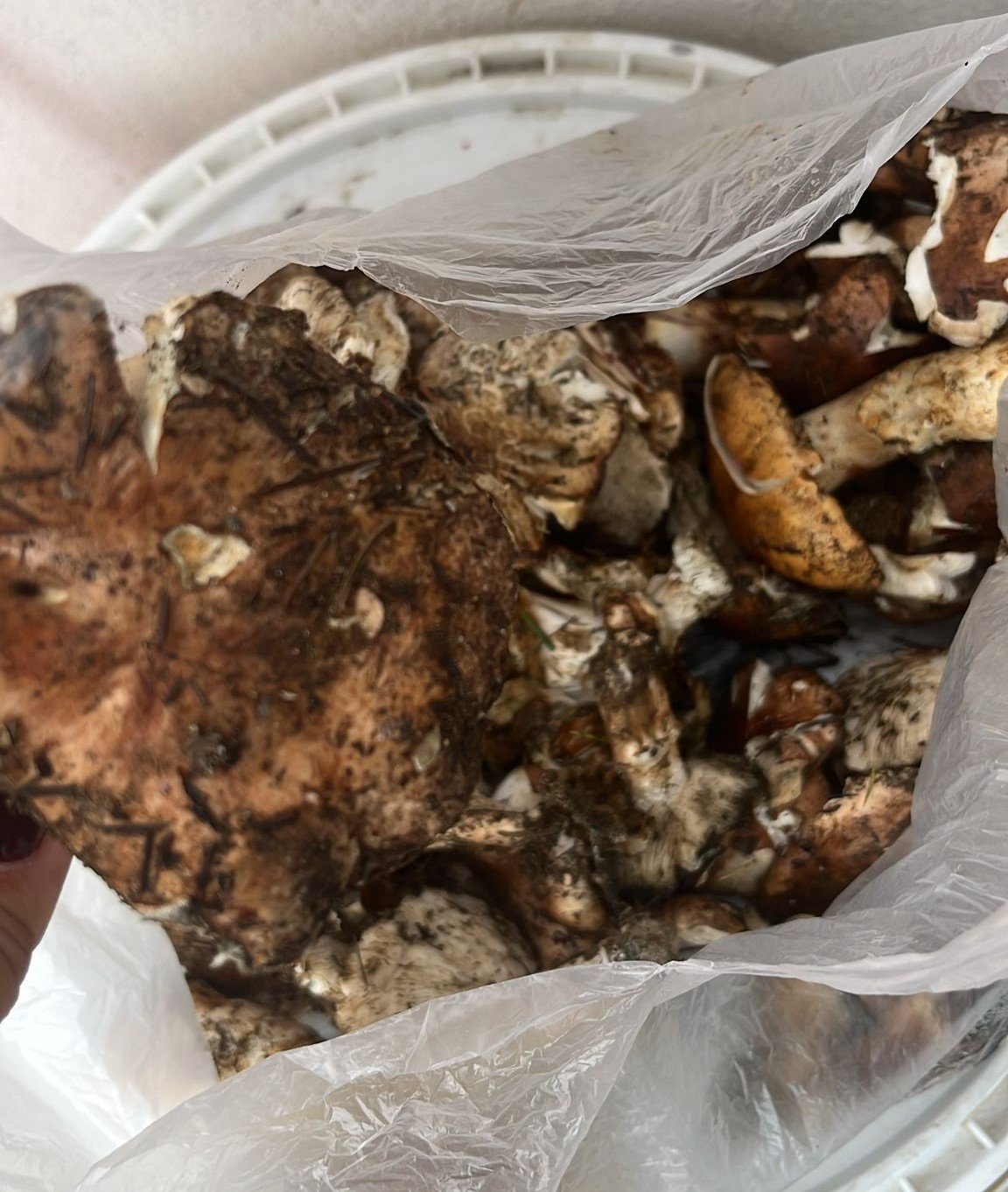 Whatsapp Görsel 2025 11 16 Saat 11.53.02 73E7Bb53