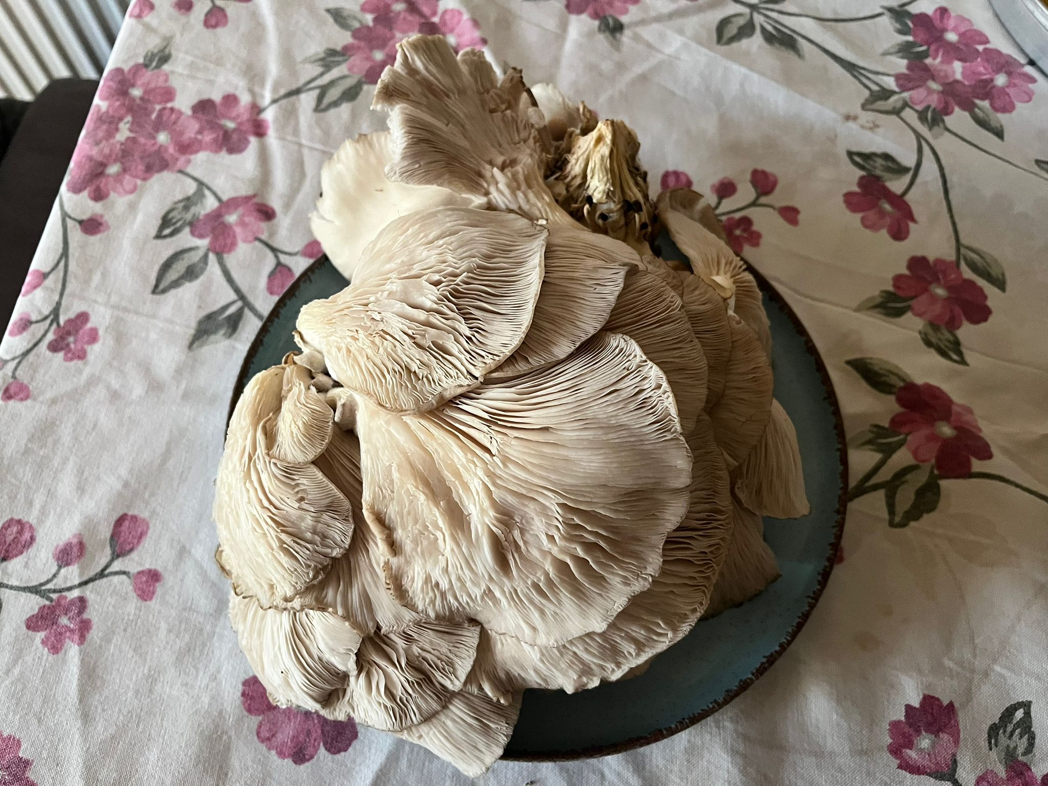 Whatsapp Görsel 2025 11 16 Saat 11.53.02 91F4D050