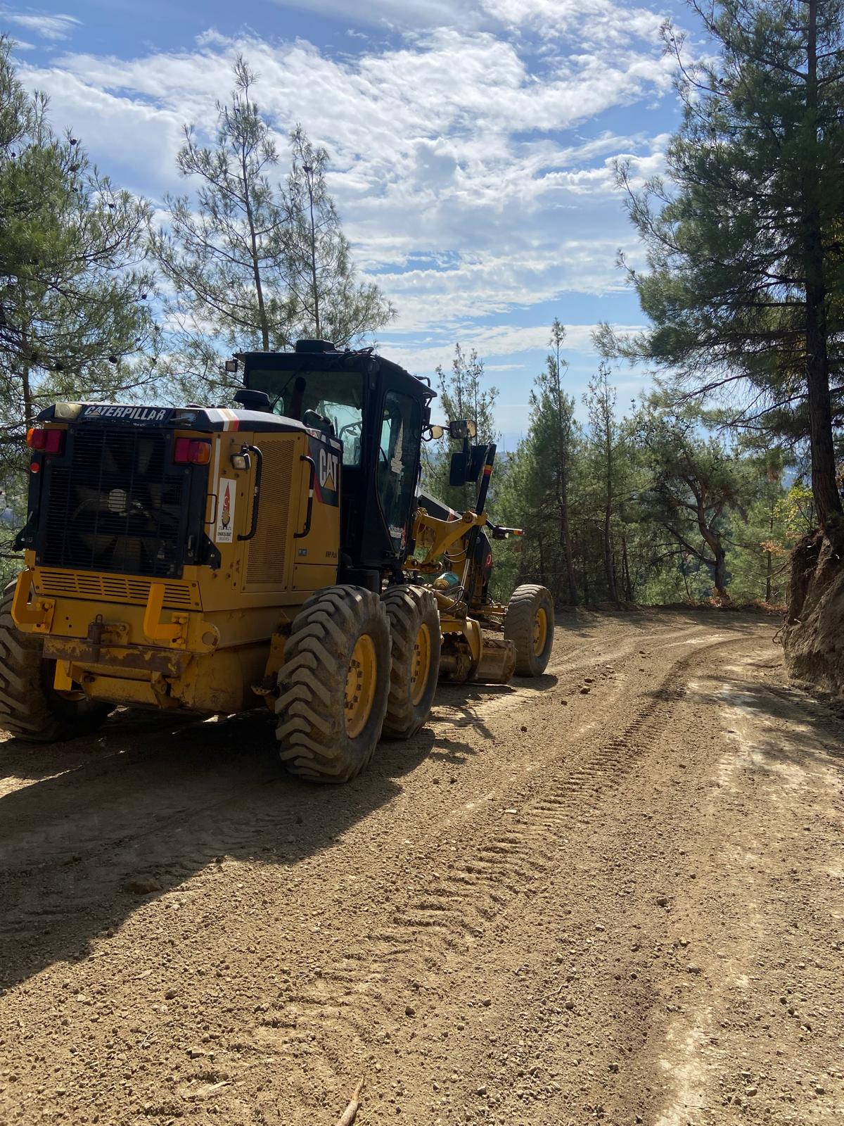 Whatsapp Image 2025 10 31 At 11.48.36