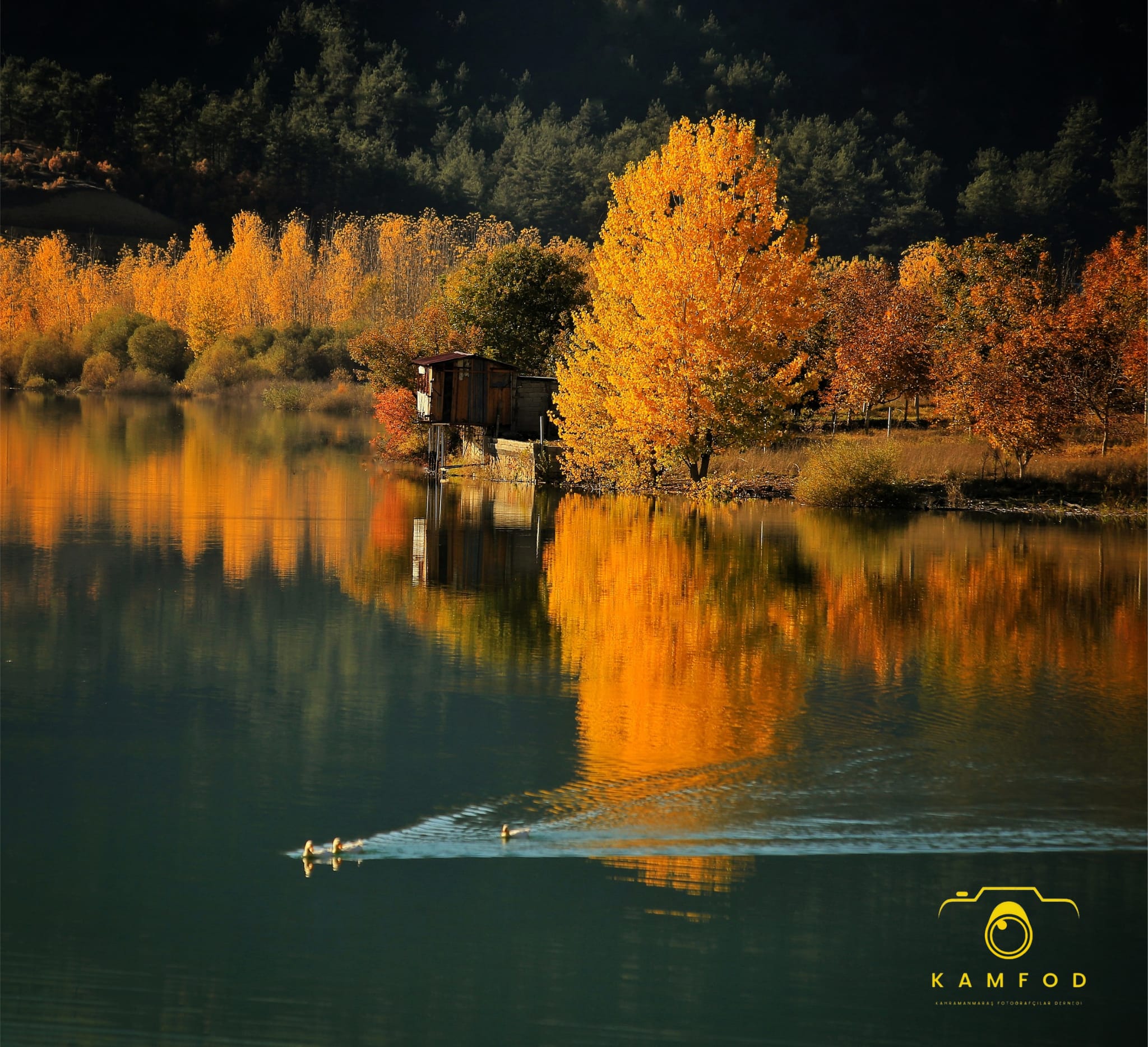 Whatsapp Image 2025 11 07 At 15.13.09 (1)