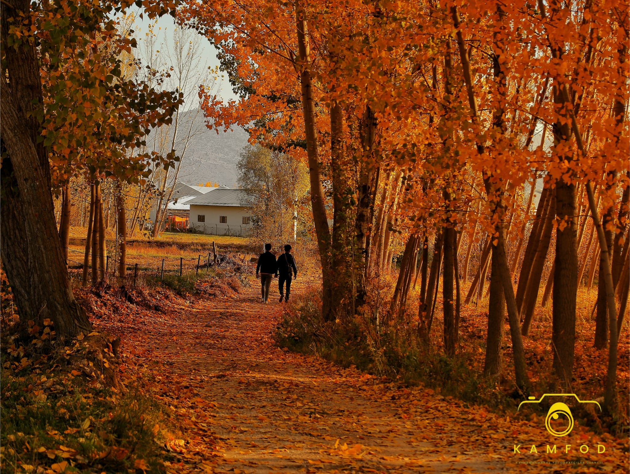 Whatsapp Image 2025 11 07 At 15.13.09 (3)