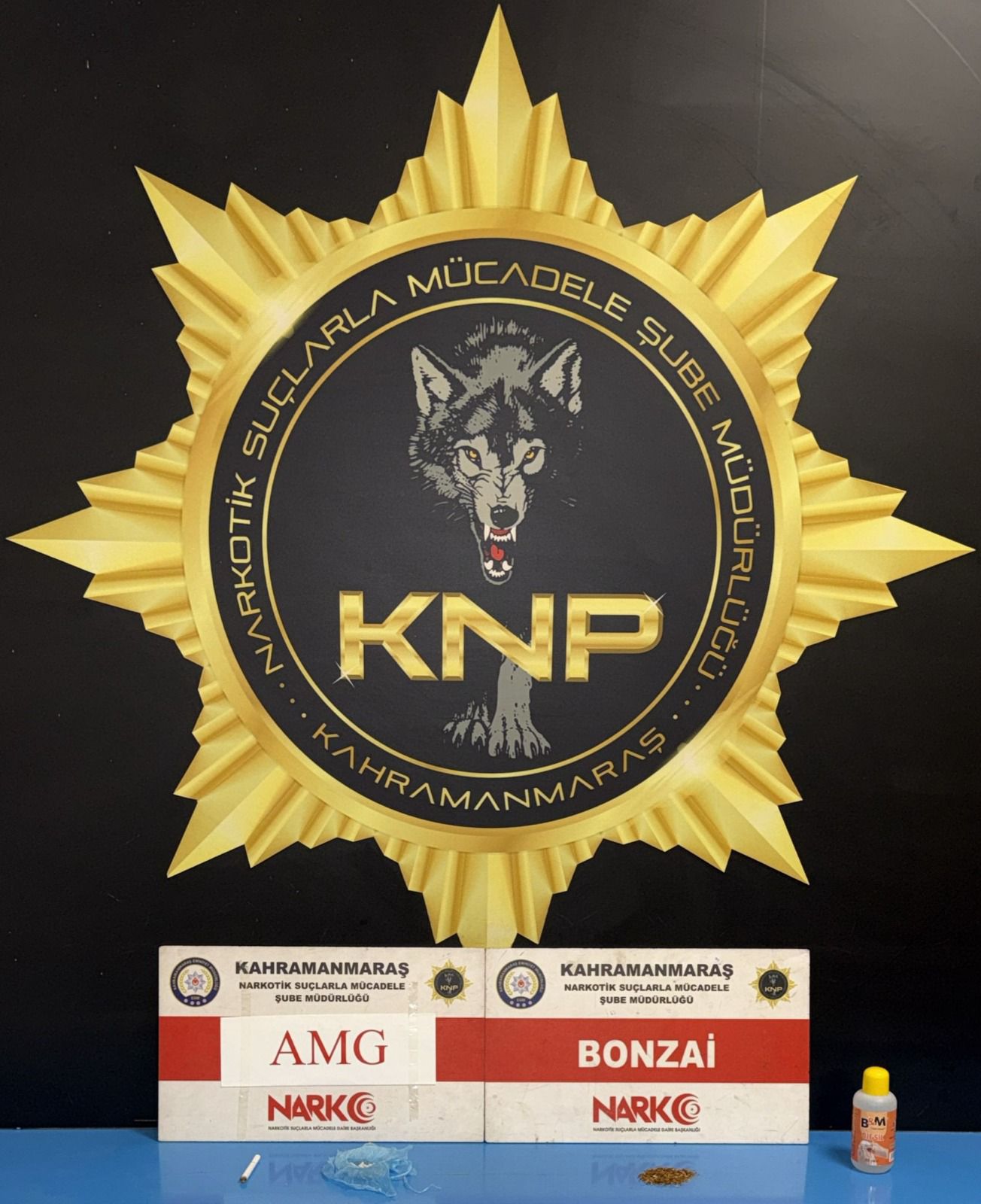 Whatsapp Image 2025 11 11 At 12.05.27