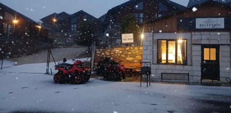 Whatsapp Image 2025 11 15 At 11.08.54