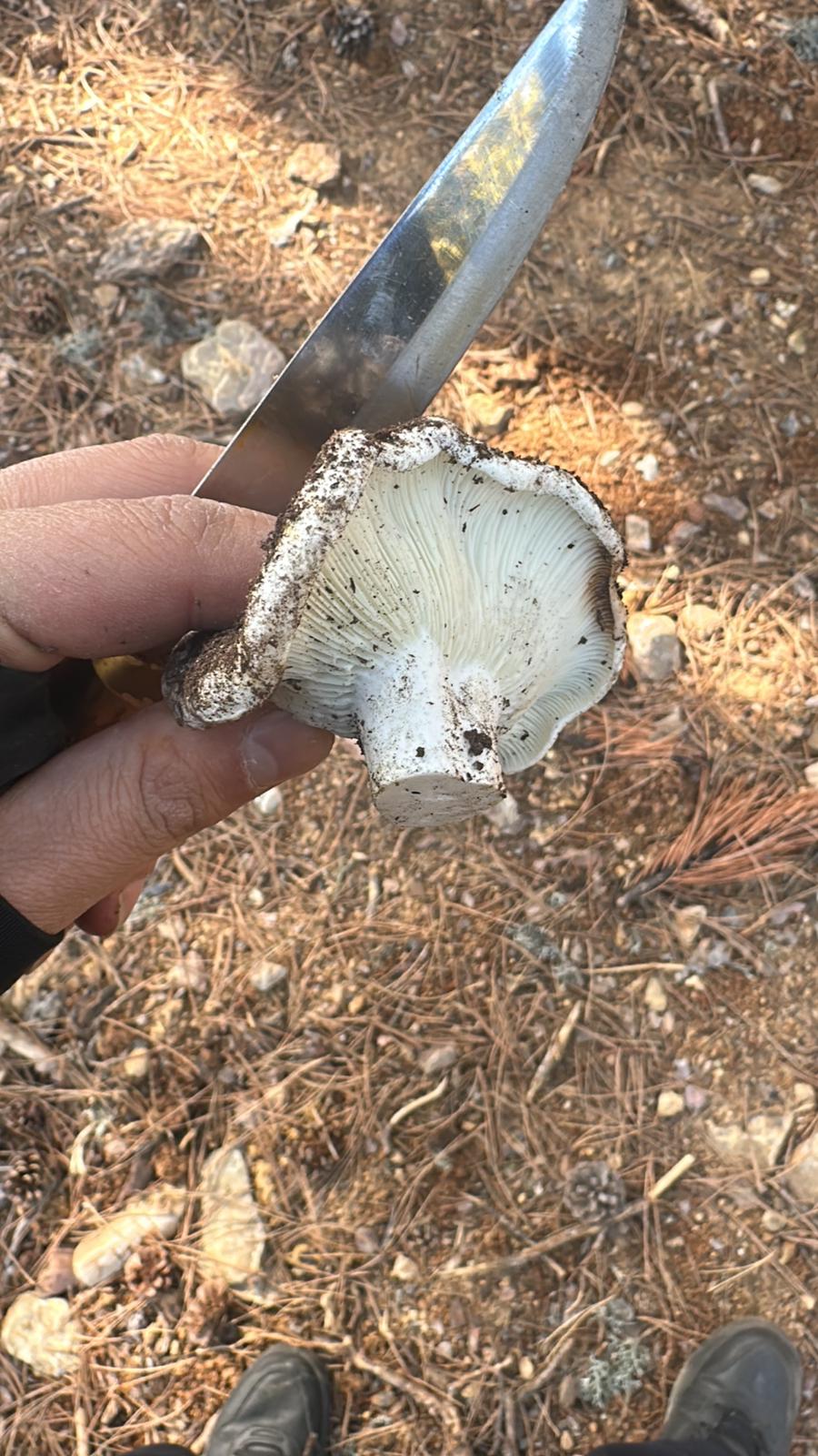 Whatsapp Image 2025 11 16 At 12.03.15 (1)