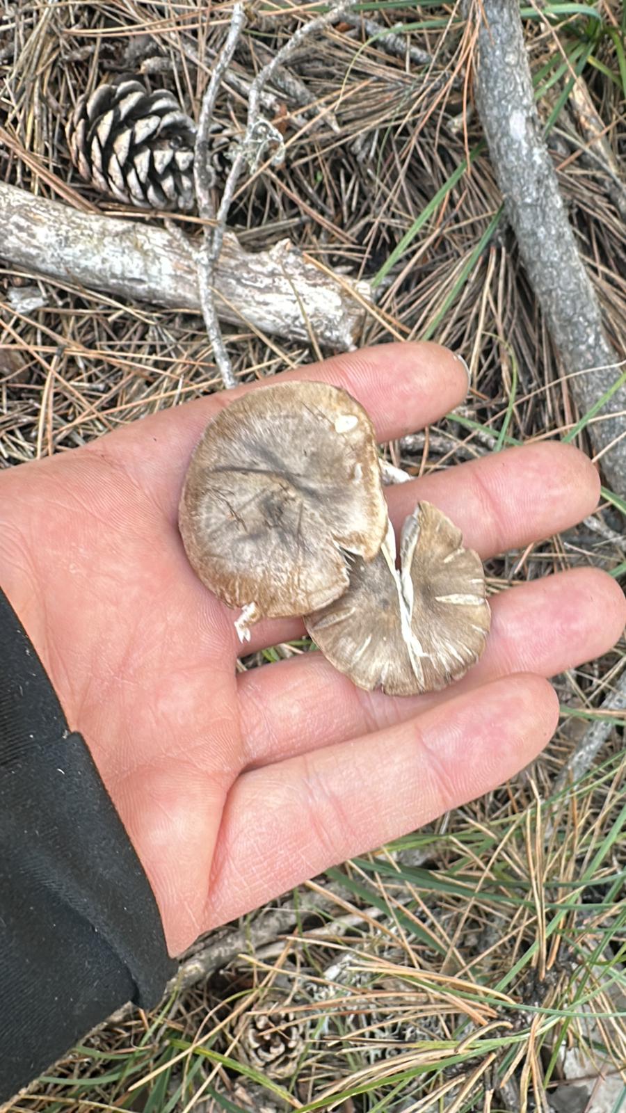 Whatsapp Image 2025 11 16 At 12.03.15