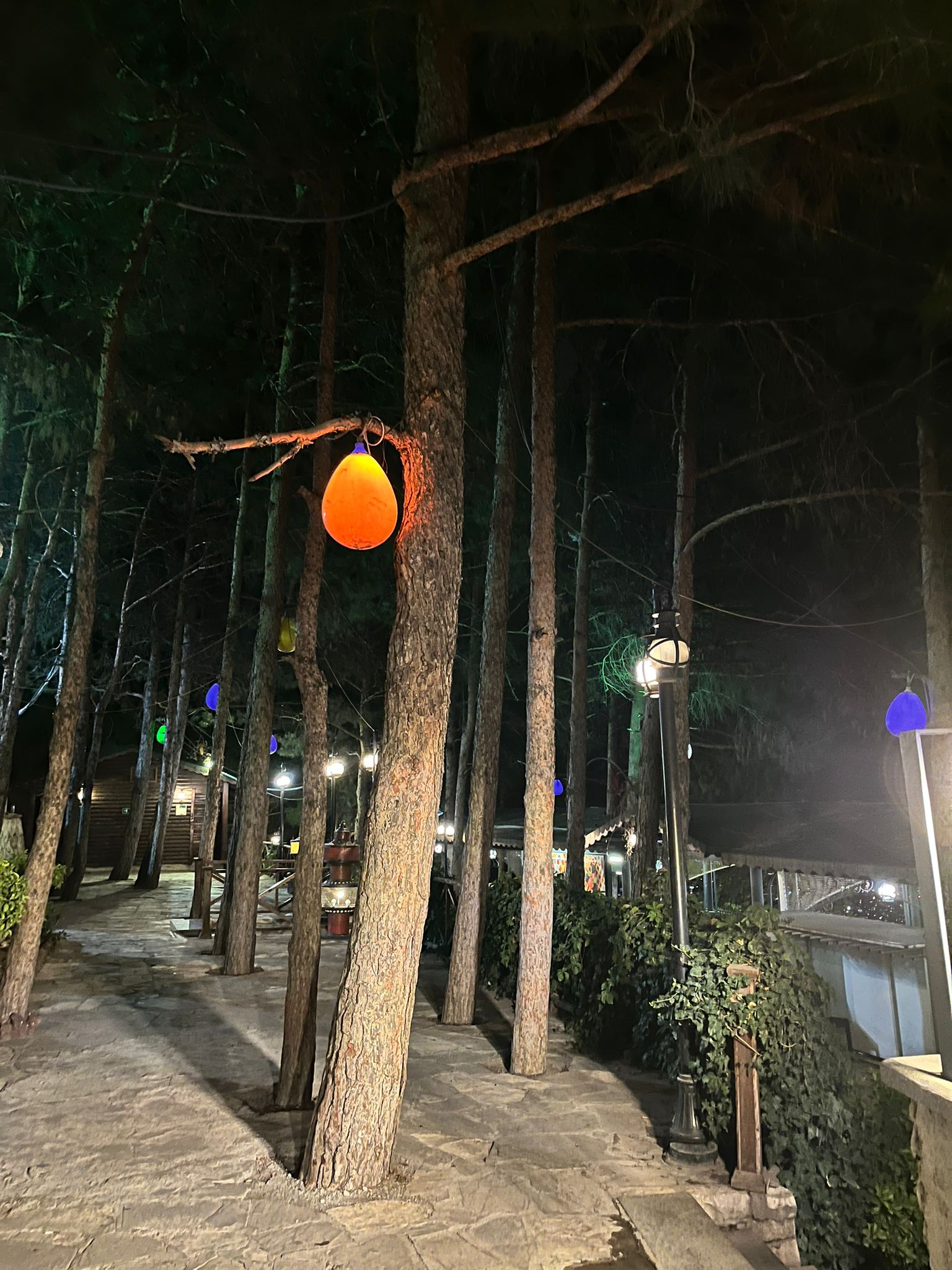 Whatsapp Image 2025 11 24 At 11.08.31