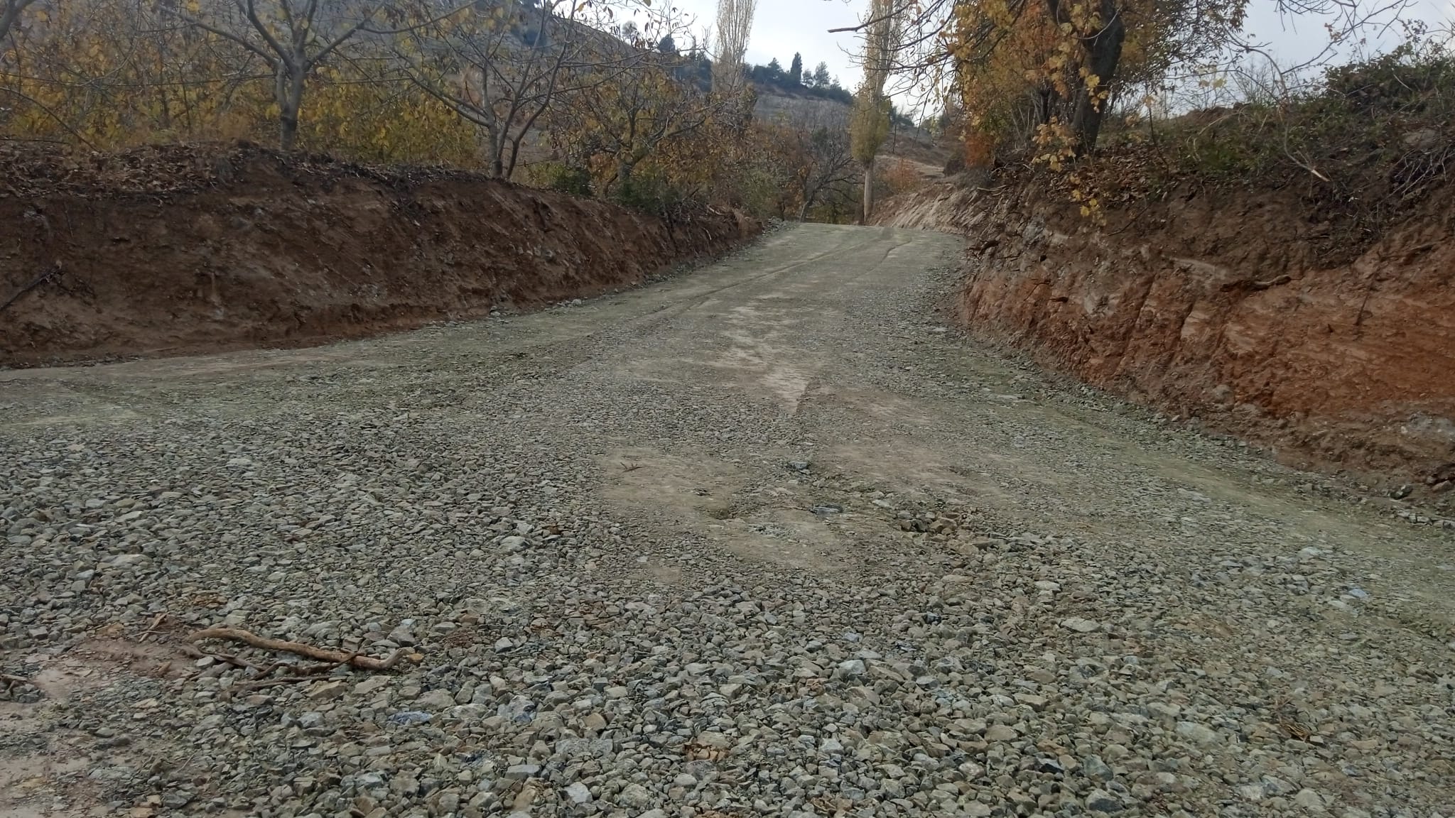 Whatsapp Image 2025 11 26 At 15.01.11 (1)