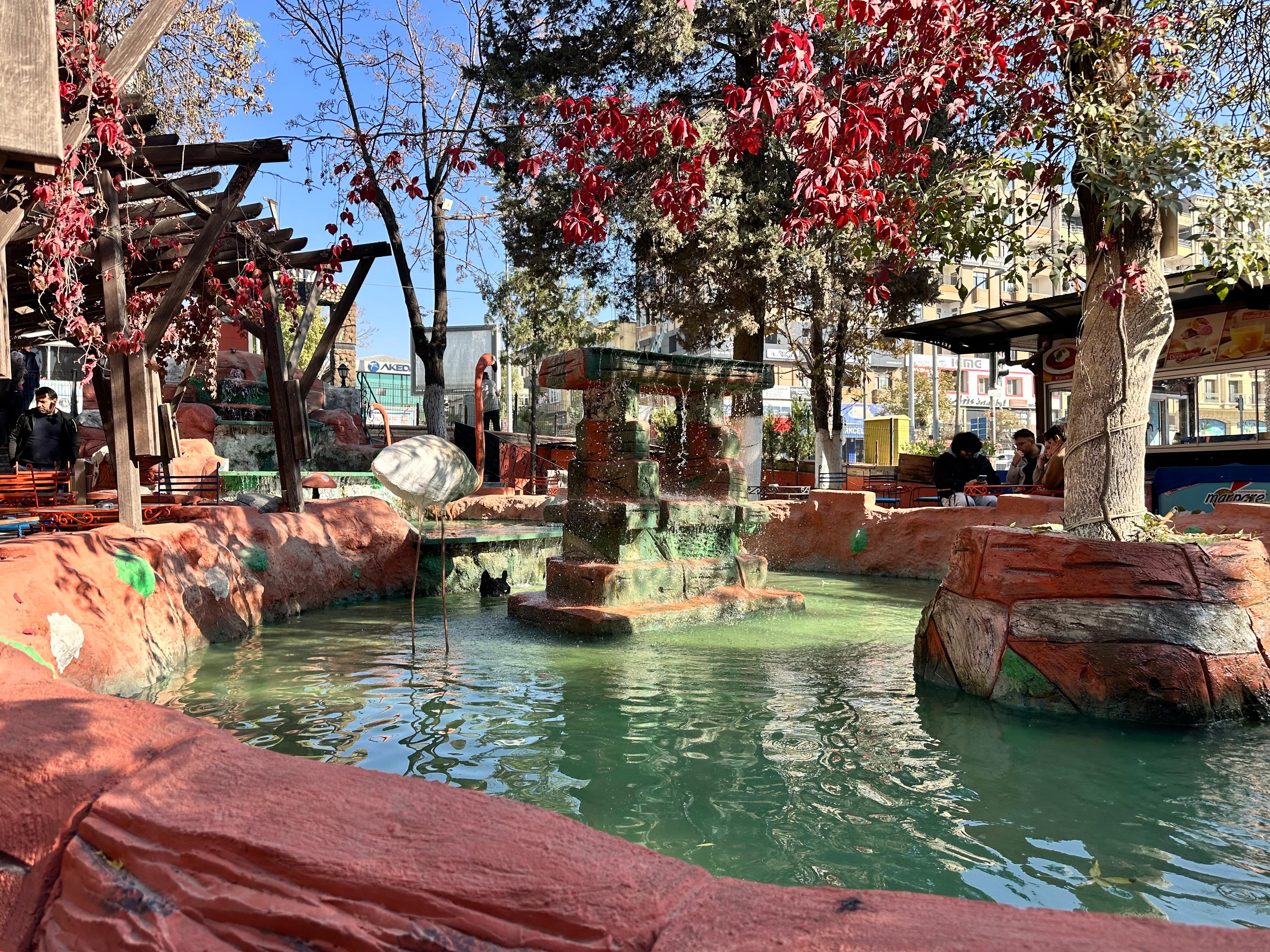 Whatsapp Image 2025 11 28 At 11.00.59