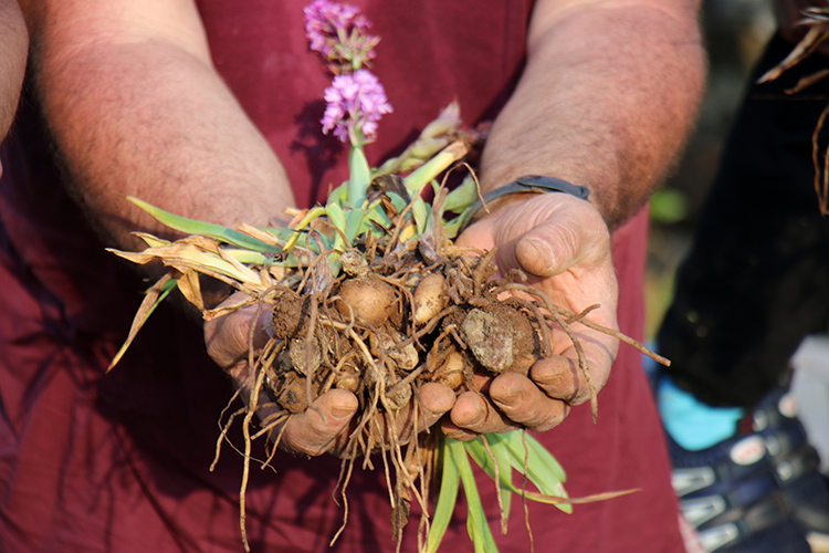 07 2022 06 Mayis 08 20220525 2 53669987 77337589