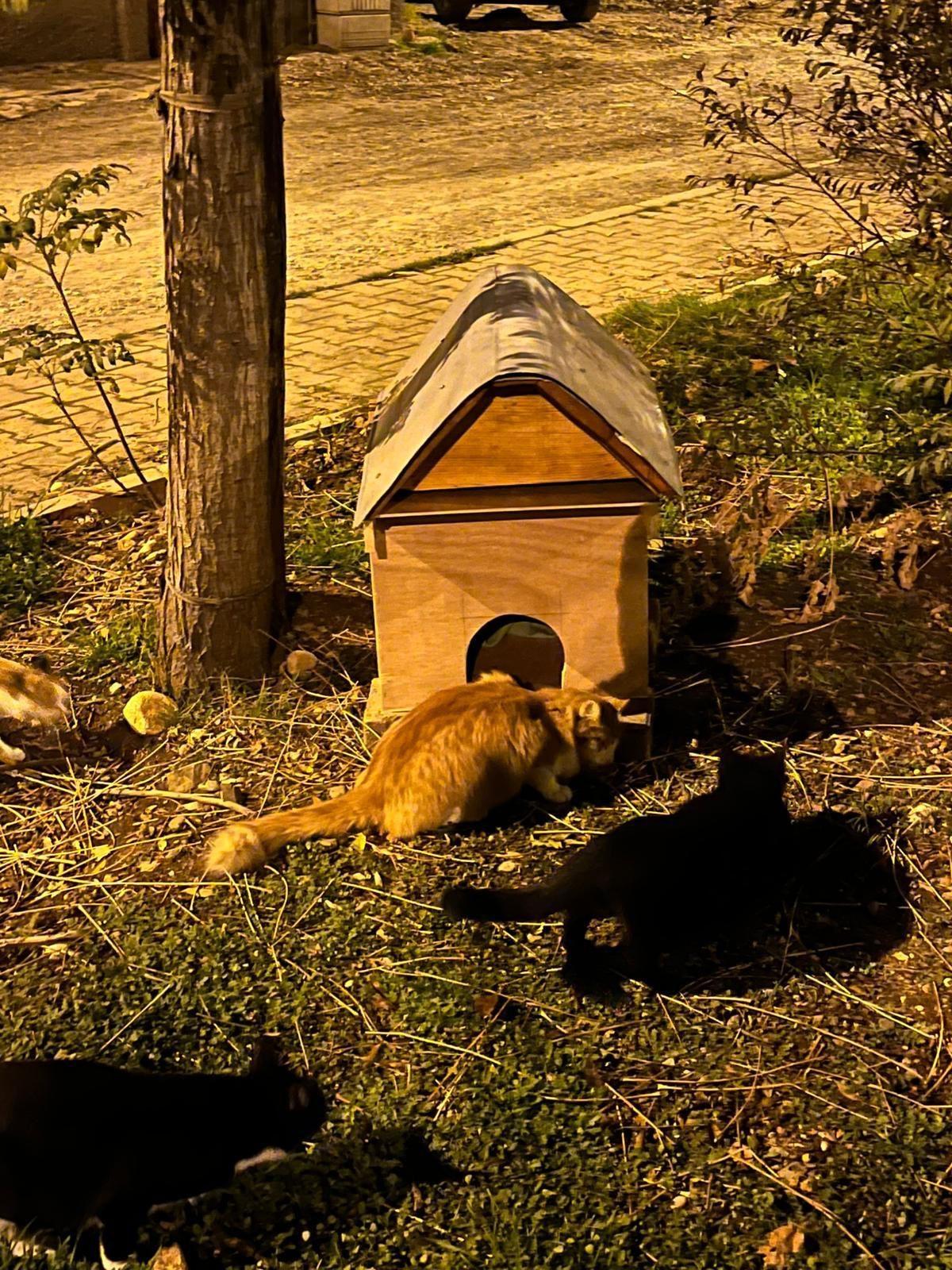 13092808 Whatsappgorsel20251213Saat09.18.24 A1090139