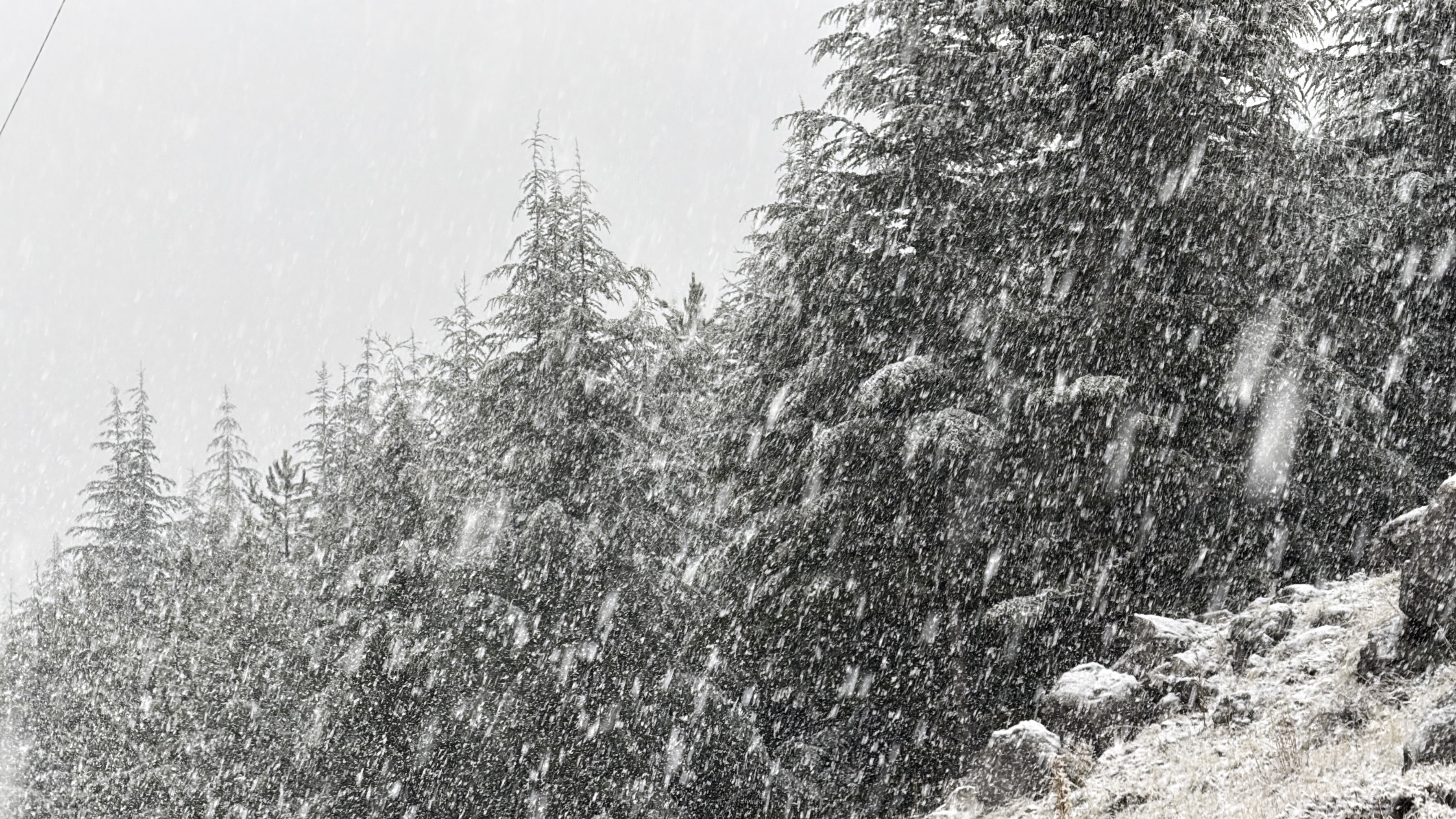 A A 20251211 39954158 39954157 K A H R A M A N M A R A S T A K A R Y A G I S I E T K I L I O L D U