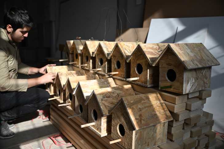 A A 20251220 40032321 40032307 D E P R E M D E H A Y A T I N I K A Y B E D E N O G R E T M E N V E O G R E N C I L E R I N I S M I K U S E V L E R I N D E Y A S A T I L A C A K