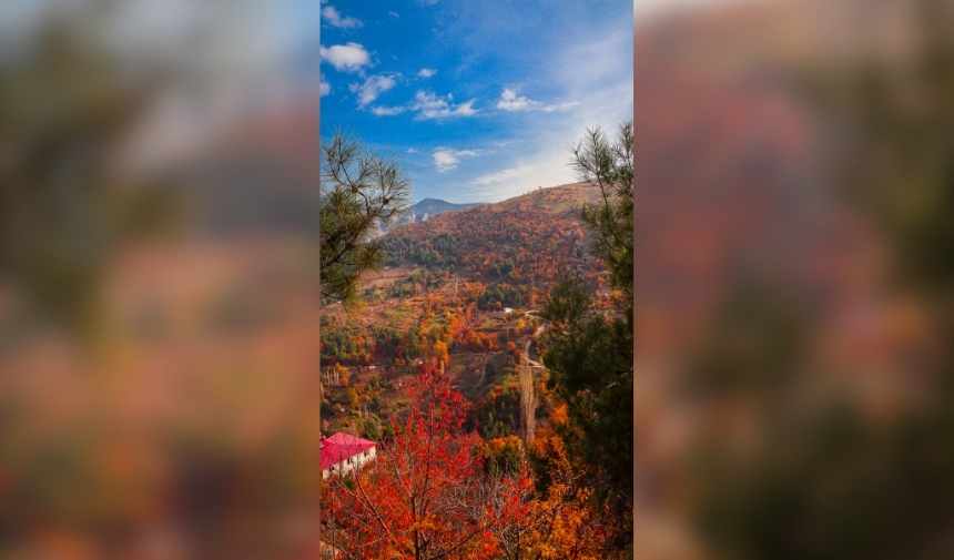 Adsız Tasarım 2025 12 10T130334.055