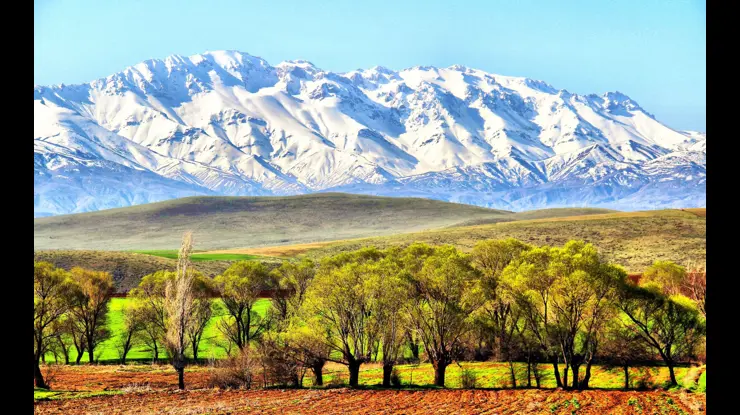 Cf2D4F26 Ca20 4D37 8778 942964B1790F