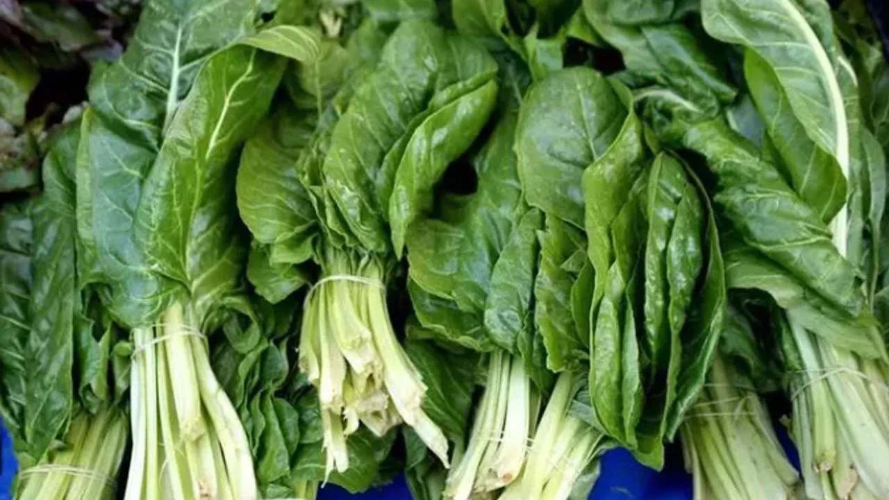 Ekran Goruntusu 2024 09 13 145629 Kopya-1