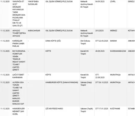 Ekran Görüntüsü 2025 12 12 105454