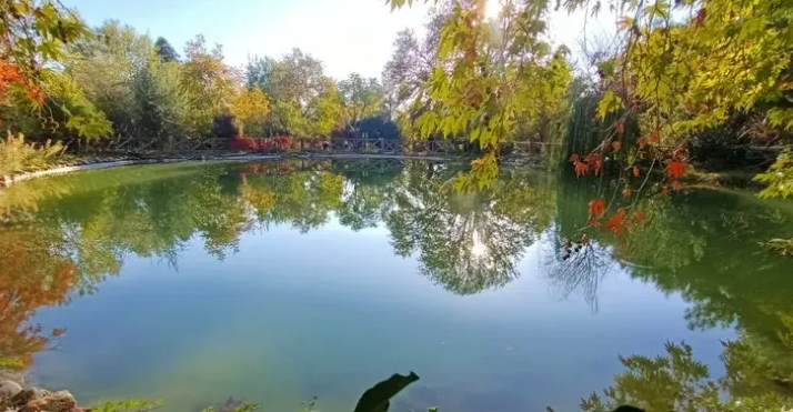 Ekran Görüntüsü 2025 12 29 160335