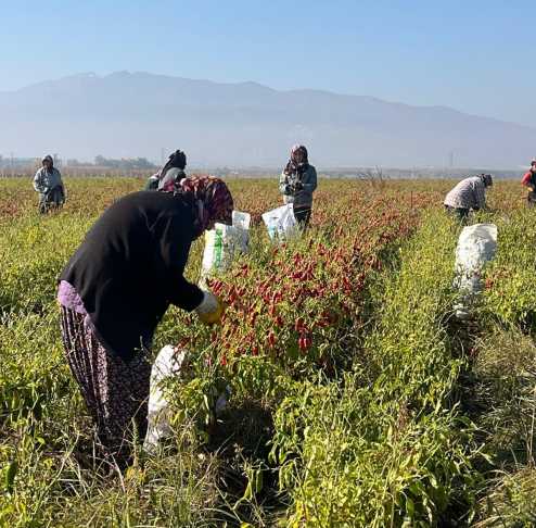 G7 Lcu M I W0 A Eki 2