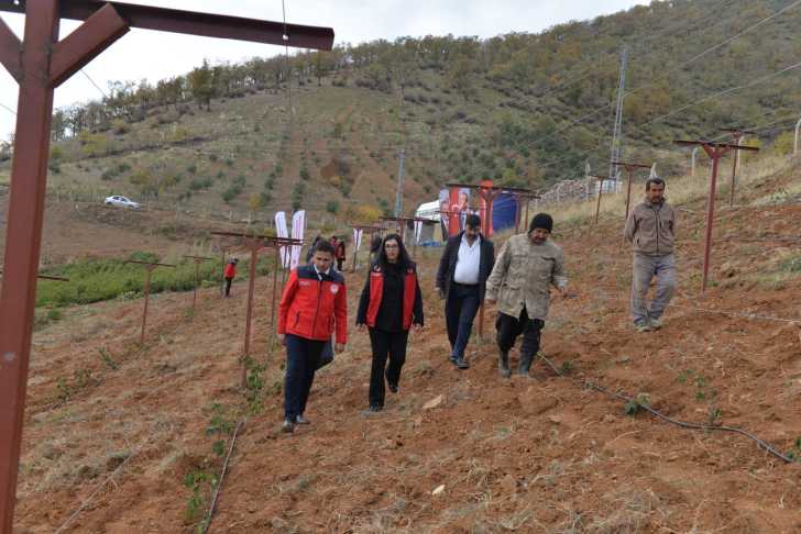 G7 V He H V X M A Af H J0