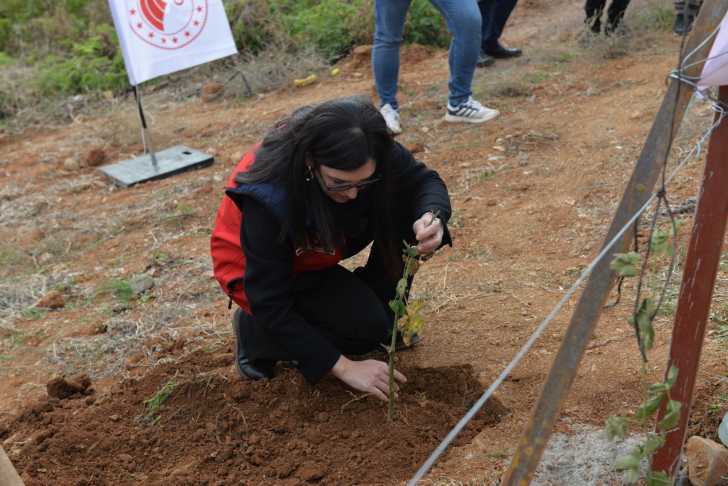 G7 V He Hd W U A Ikr K H