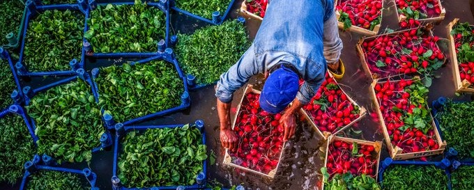 G8 D Yl6B Xg A Iz Mqt