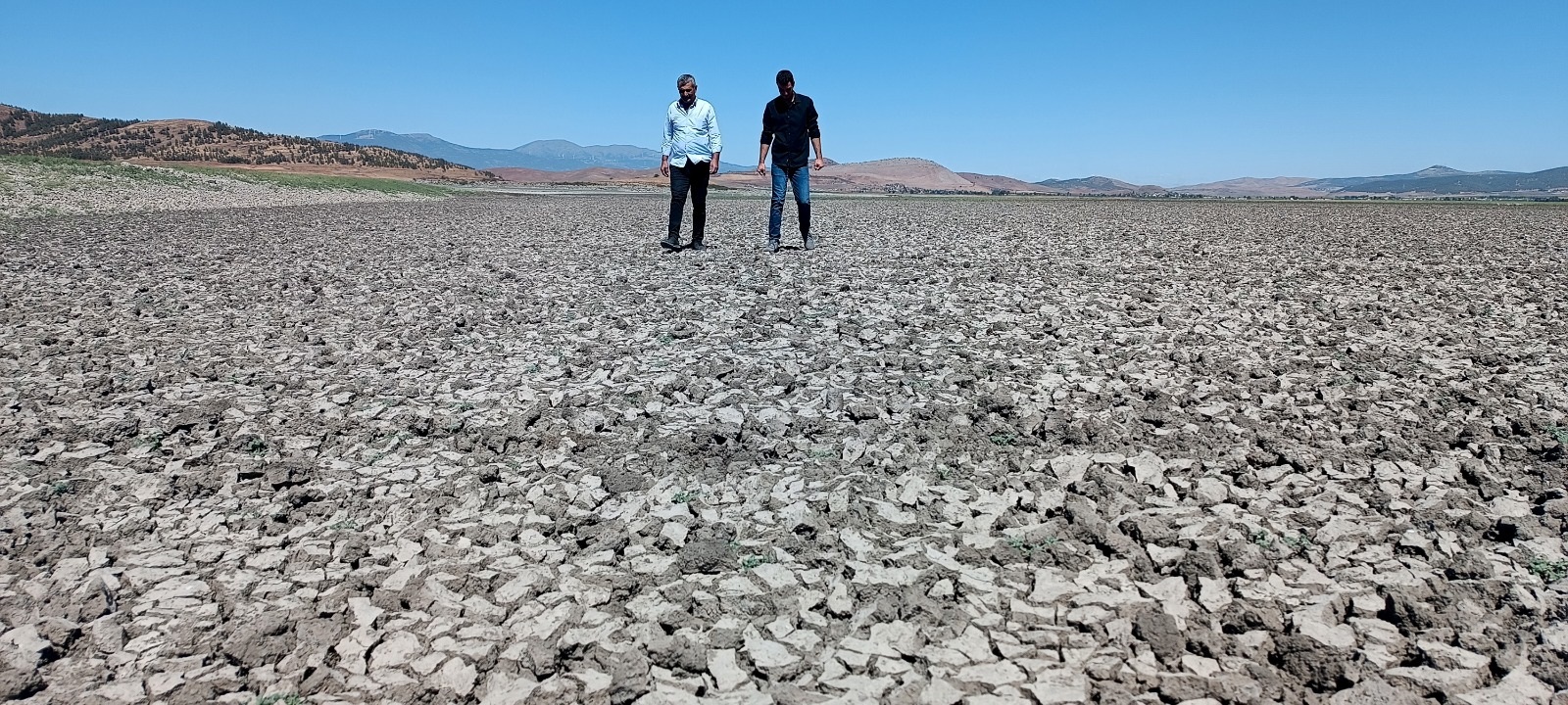 ‘ K U R A K L I K M I L Y O N L A R C A I N S A N I N G O C U N E N E D 1055134 313112