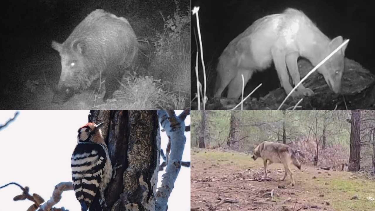 Mahkumdan Önce İnsan! (8)