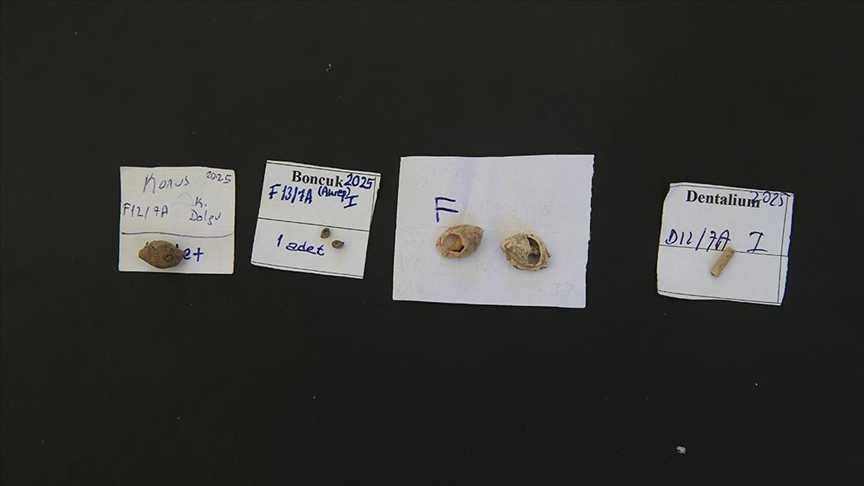 Thumbs B C 25Db750D681Afa35335E3Edfc535D33D