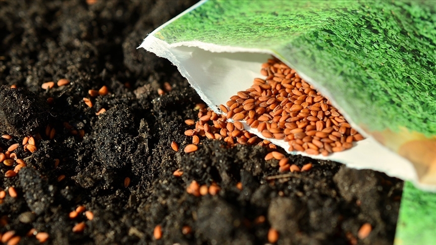 Thumbs B C 9C3C0Afae8B2Ac4Ee48F87153D955762