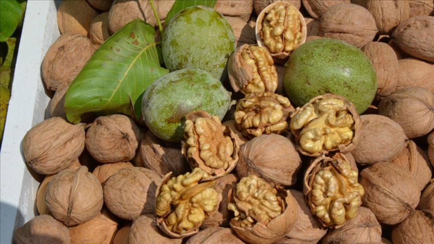 Thumbs B C Ec699A177D0Fec9597Bd73855Ef09168