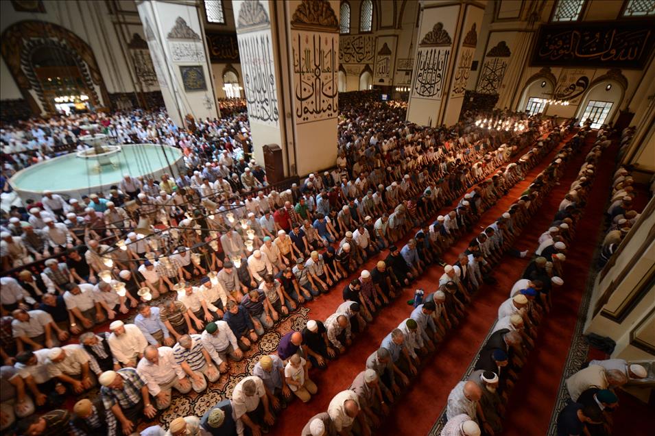 Thumbs B2 44F0Fa6F55F061187192947D522Bd8Ed