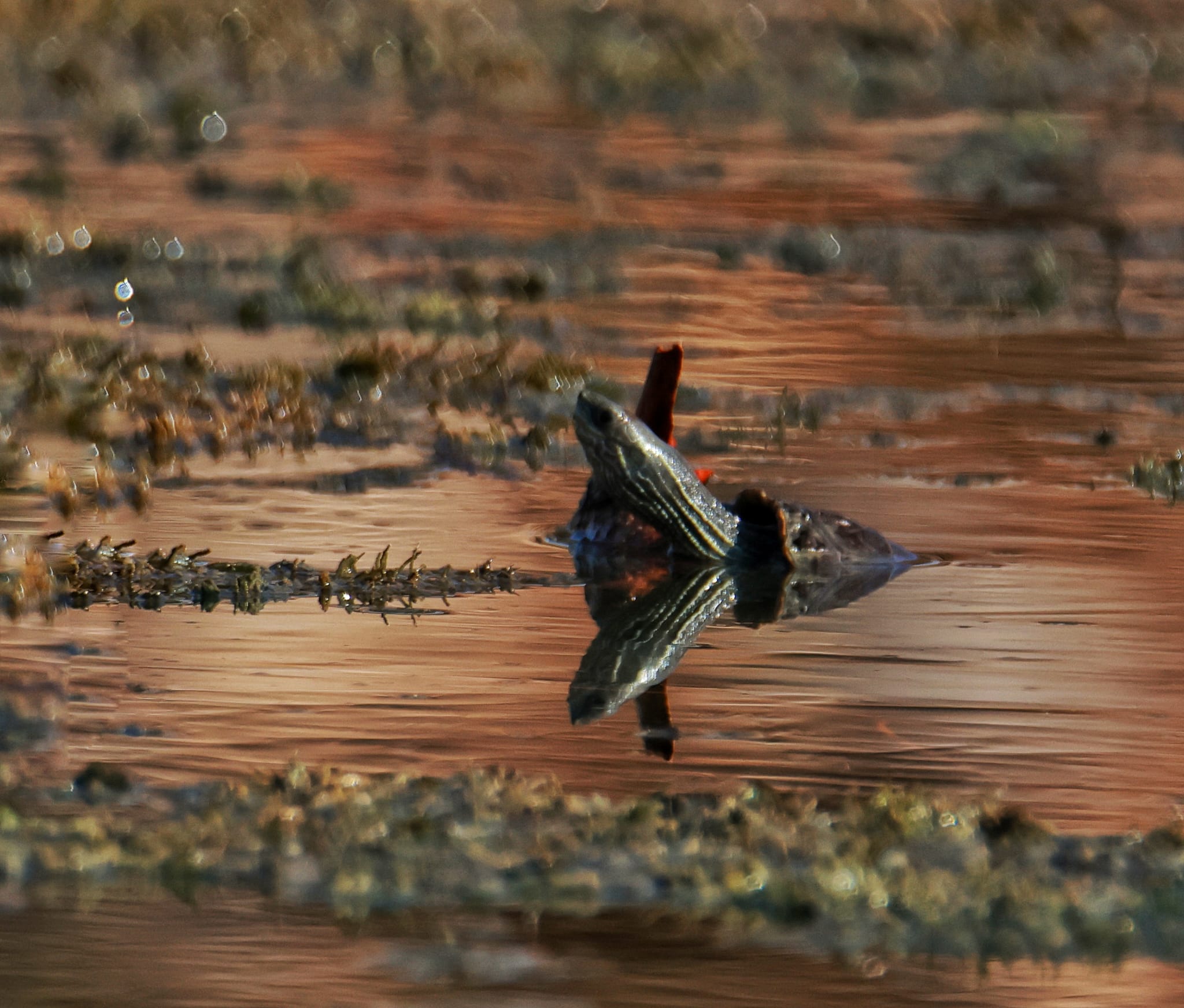 Whatsapp Image 2025 12 01 At 15.56.59 (3)