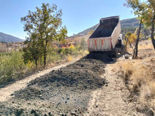 Whatsapp Image 2025 12 08 At 11.06.06