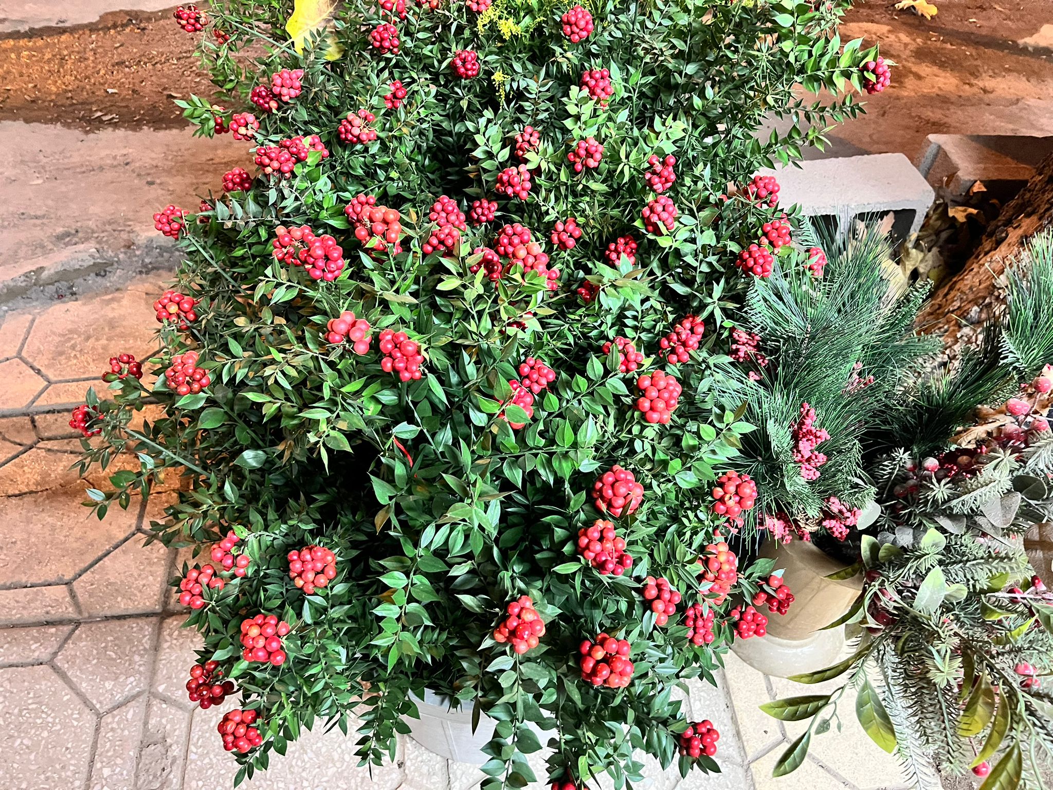 Whatsapp Image 2025 12 17 At 10.36.45