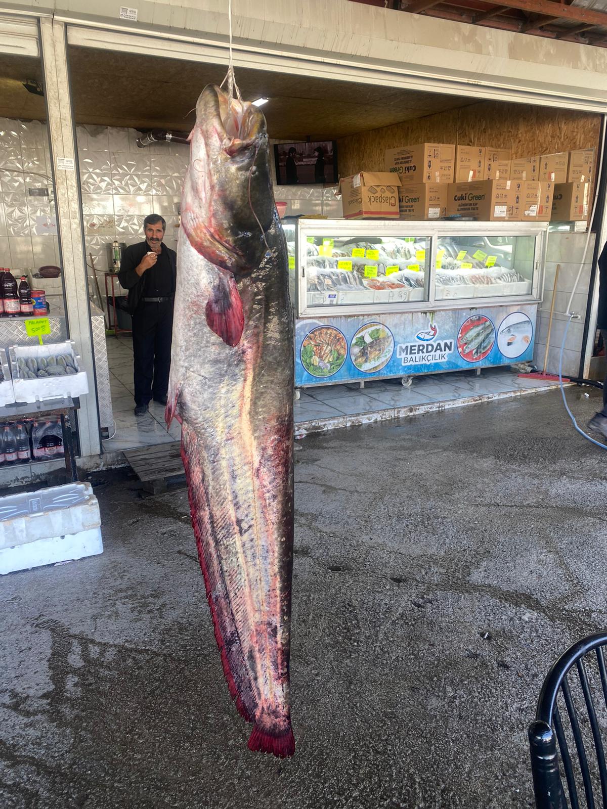 Whatsapp Image 2025 12 17 At 13.41.21