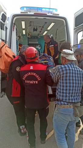 Whatsapp Image 2025 12 25 At 12.46.58