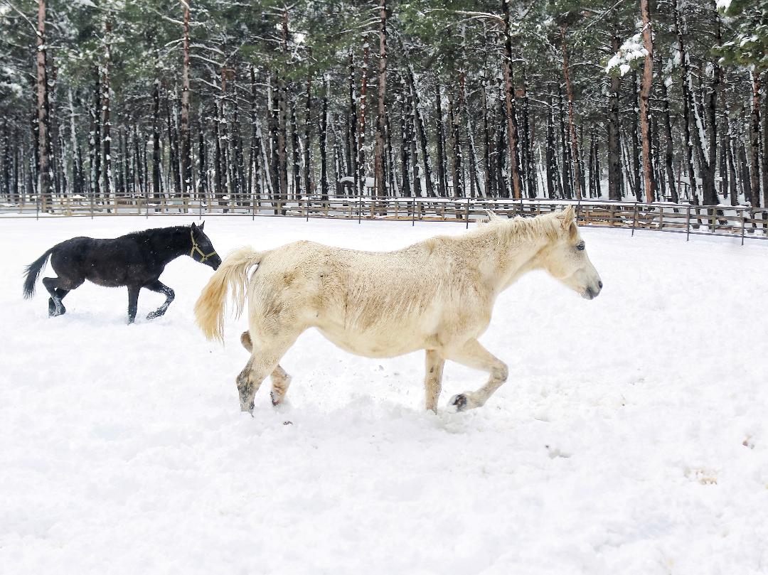 618473446 796398633511486 3422977410934887233 N