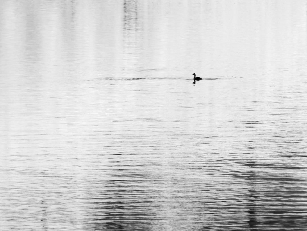 620042485 1396176901453332 2403804719909214798 N