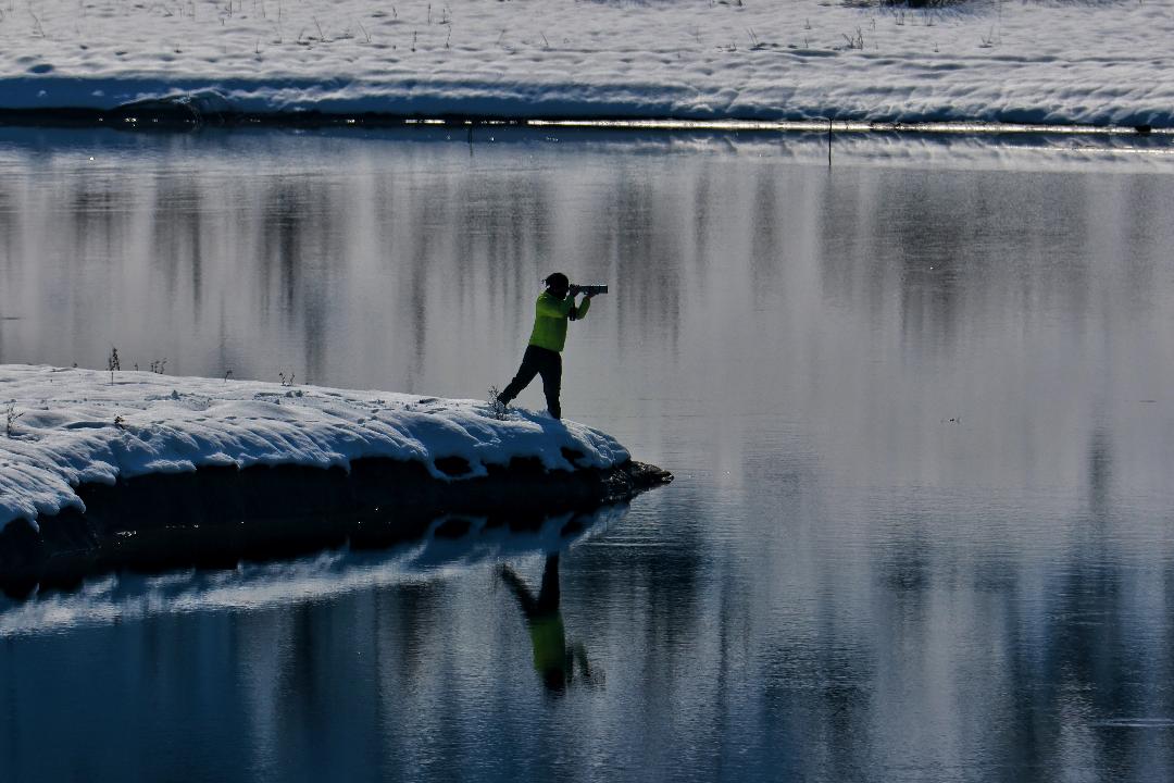 622926012 3948833502083929 1924411407068161805 N