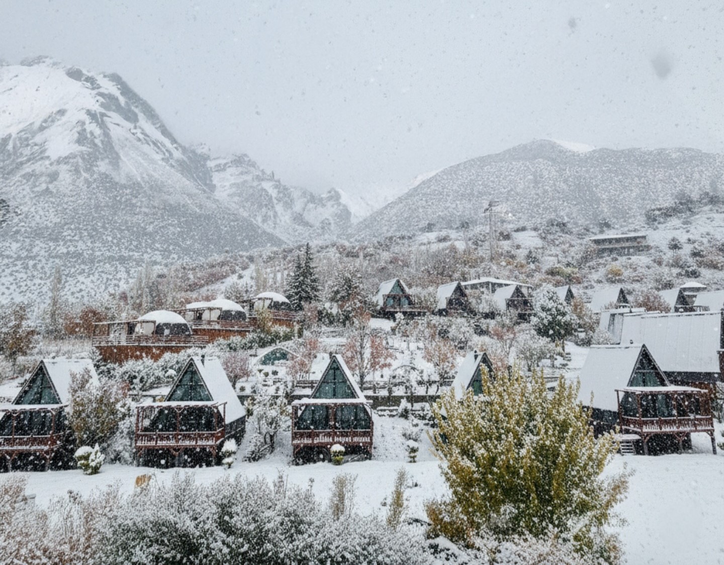 Dongellifebungalow 1768807036 3813352265222739961 53684048139