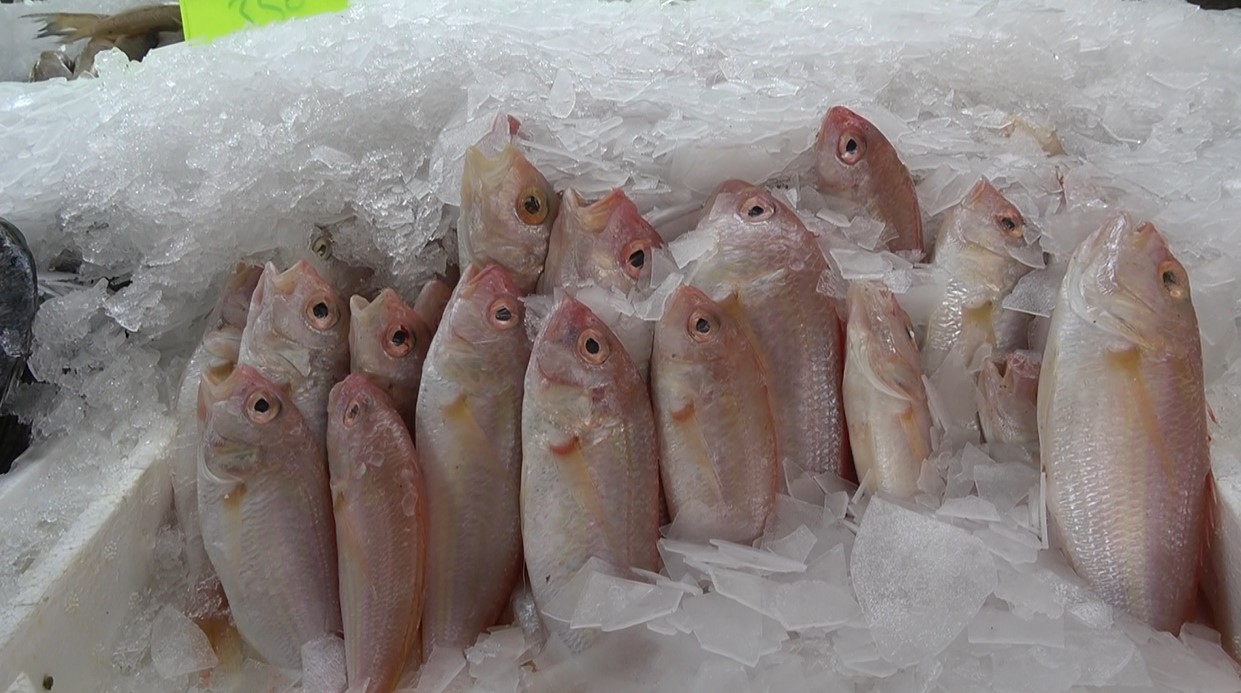 Ekran Görüntüsü 2026 01 04 122855