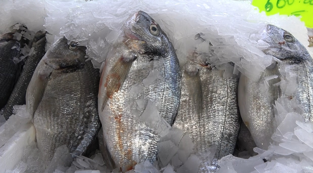 Ekran Görüntüsü 2026 01 04 122908