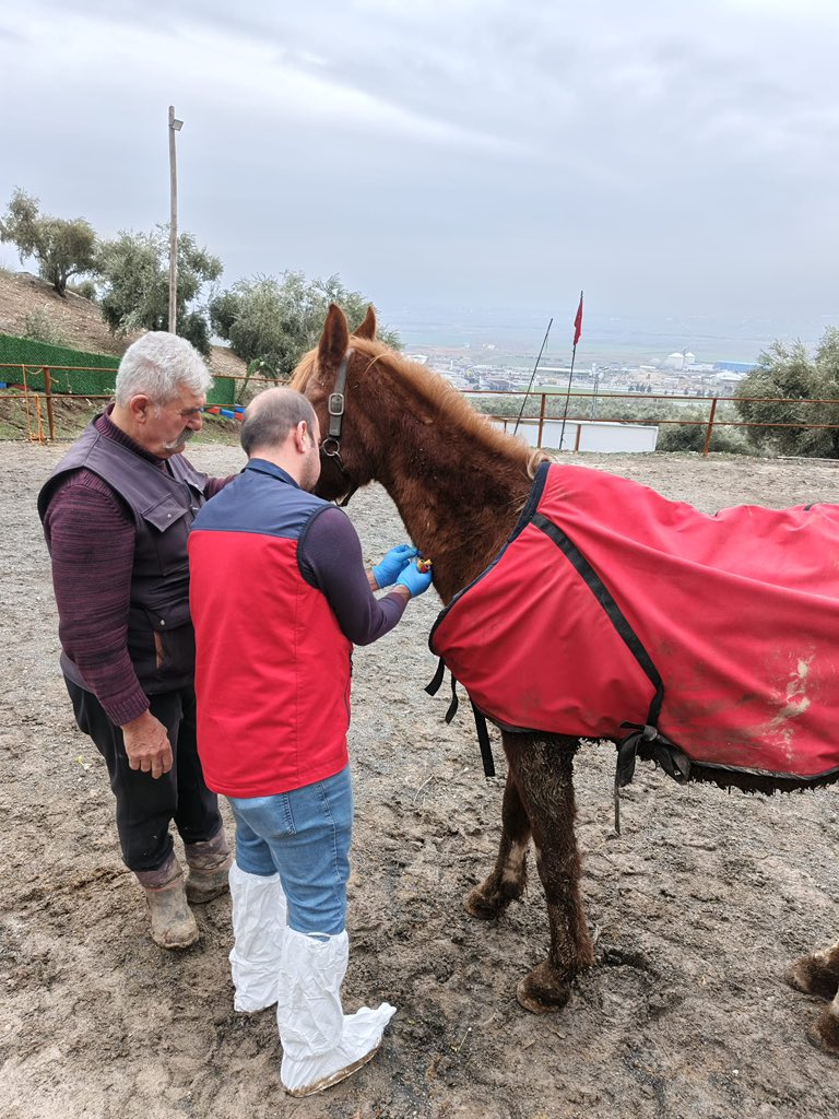 G 14Cq F Xc A A0 H Vb