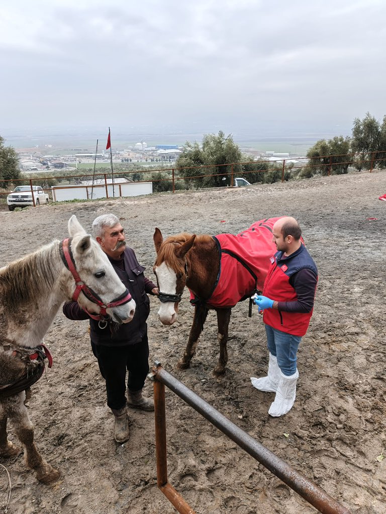 G 14Cq J X Y A E M G K2