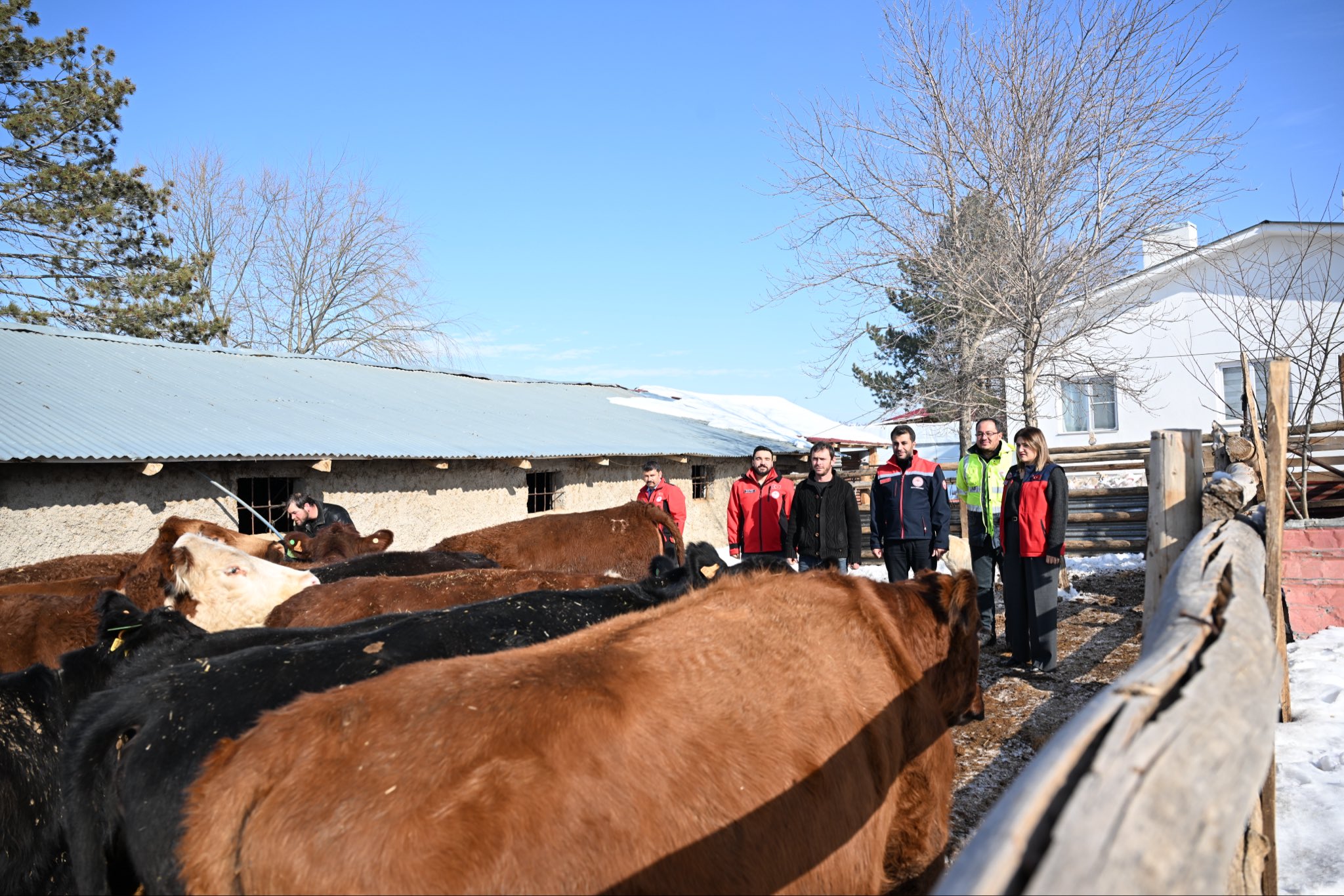 G D1O U Y Xo A A L P3T