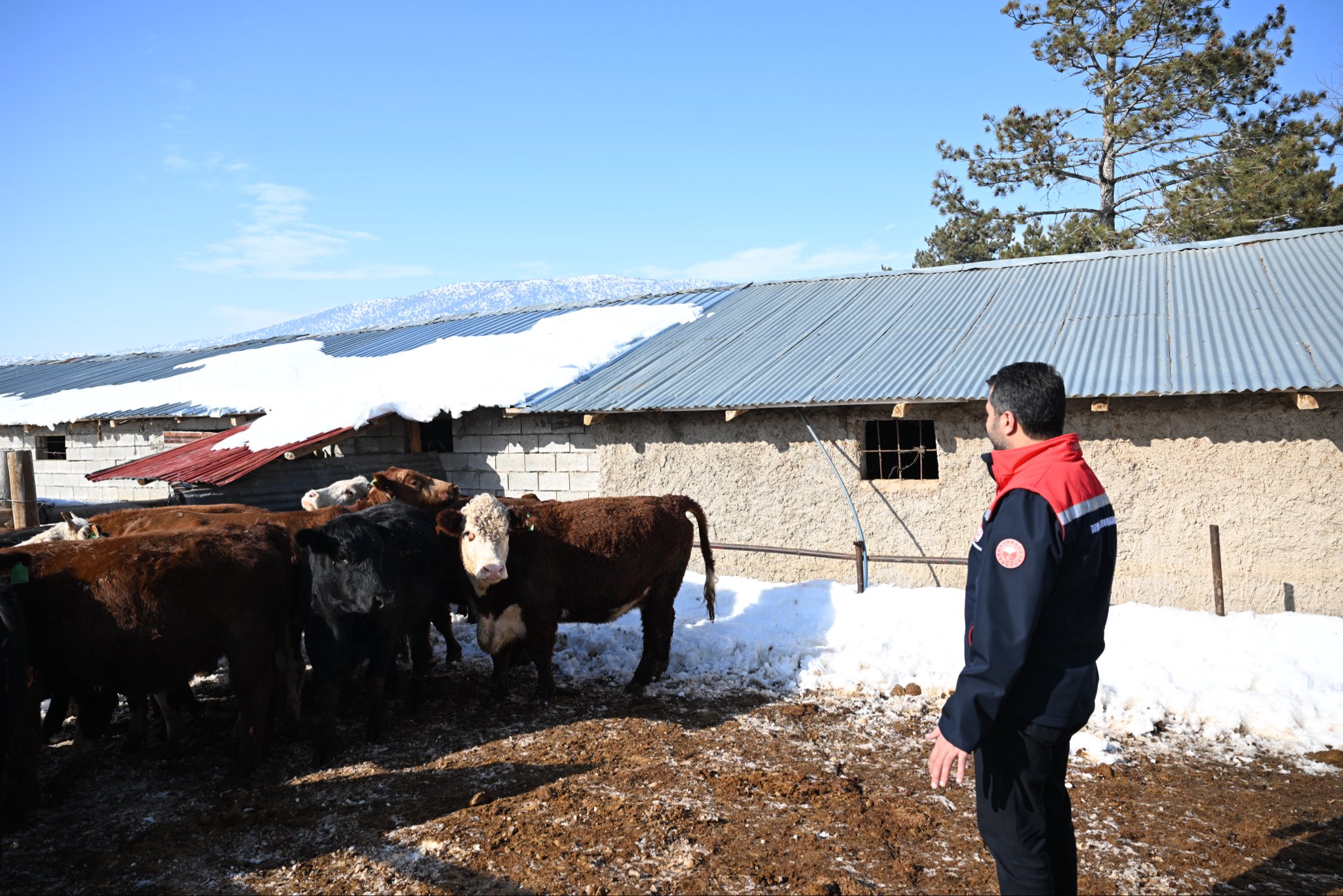 G D1O Ua Xw A Ak6A B